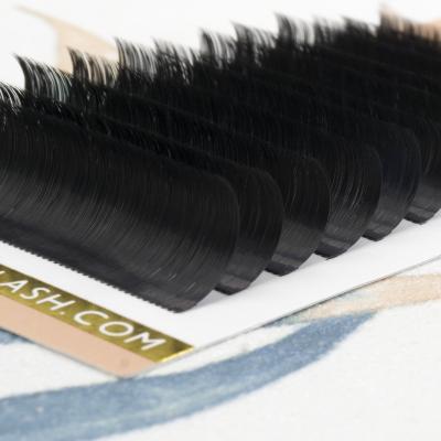 China Cashmere Individual Lash Extensions 9d-14d Dual Density Eyelashes Extensions 9d-14d Loop Individual Russian Easy Fan Fast Fanning for sale