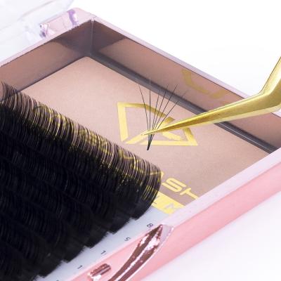 China Comelylash Las Natural Long Extension Supply 0.03 0.05 0.07 Volume Lash Extension Lash Trays Wholesale Eyelash Extension for sale