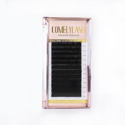 China Wholesale COMELYLASH Thick Eyelash Mink Eyelash Extensions 0.07 L Individual Loop Eyelash Extension for sale