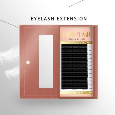 China Indiviudal Eyelashes Comelylash Own Brand Matte Mink Lashes Private Label Glue Eyelash Extensions Japan Different for sale