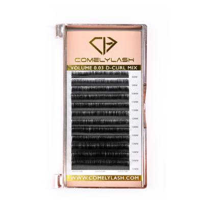 China Natural Wholesale Long Volume Lashes Individual Eyelash Extensions Mink Lash Tray for sale