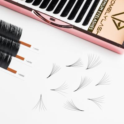 China Logo Matte Black Label Easy Fan Lash Extensions Individual Easy v-shape Volume Fan Eyelash Fan Eye Lashes for sale