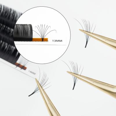 China Fan 20-25mm wicks fan 20-25mm j cc good quality Siberan fan eyelashes easy curl individual easy silk dual density 25mm for sale