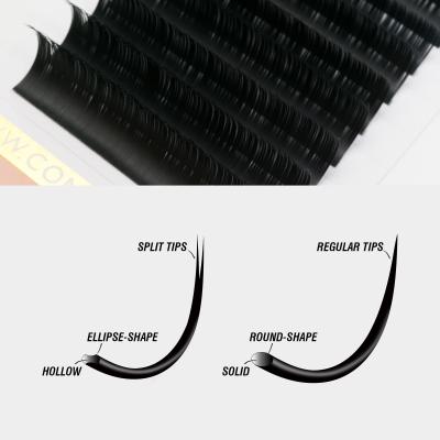 China Long Cilios High Quality Natural Matte Ellipse Silk Shape Magnets Classic Lash Extensions Flat 0.2 Slots R for sale