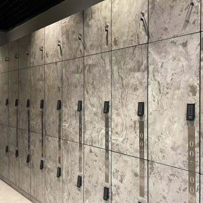 China AoGao gymnasium hpl lockers employee cabinets phenolic gym lockers for sale