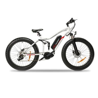 China Snow 48V1000W Electric Powered Bicycle , E Fat Mountain Bike 26