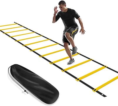 China Speed ​​6m wholesale 12 speeds rung and agility ladder for sale