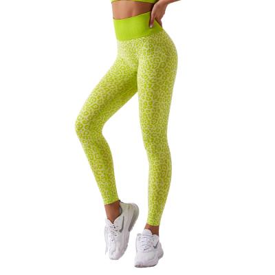 China Breathable Women Sports Yoga Teams Seamless Black Gym 2 Tone Jogger Pants Anti Cellulite Camouflage Leopard Print Leggings Wwwxxxcom for sale