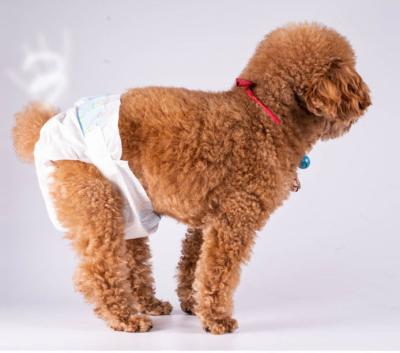 China China Factory Direct Selling Dog Diaper Teddy Bear Diaper Pet Puppy Cleaning Pants Menstrual Pants for sale