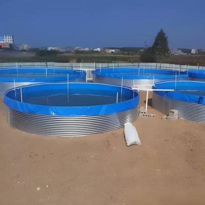 China Easy Assembly Customized Ras Shrimp Farming, Aquaculture Ras Systems, Recycling Ras Aquaculture System Design for sale