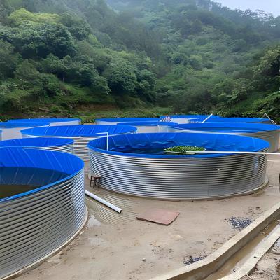 China Easy Assembly Super Economic Folding PVC Fabric Waterproof Fish Pond Recycling Aquaculture System Fish and Shrimp Pond for sale