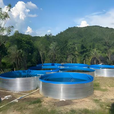 China Easy Assembly Customized Round Canvas Thickened Large Plastic Fish Ponds Folding Shrimp Tank Portable Fish Ponds For Agriculture for sale