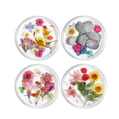 China Fashion 12 Colors 3D Nail Art Decoration Flower Real Dry Dried For UV Gel Acrylic Nail Art for sale