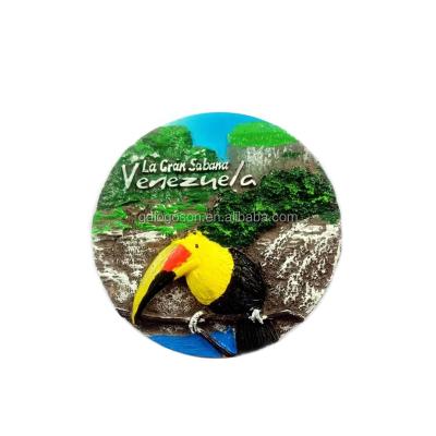 China 3D Resin World Travel Fridge Magnet Venezuela Parrot Toucan Souvenir Magnet Islands Resin Magnet Nickel Free Manufacturer for sale