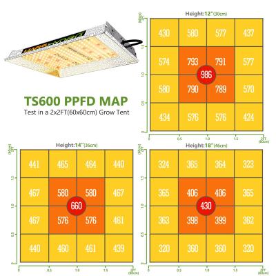 China Seed Starting MarsHydro TS600 Full Spectrum LED Grow Light High Efficiency and High Harvest for sale