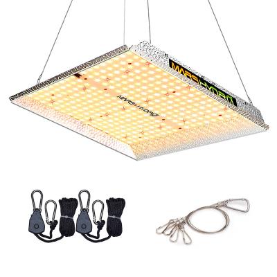 China Seed Starting Cover 2.5 Ft X Marshydro TS1000 2.5 Ft LED Grow Lights For Indoor Greenhouses Plant for sale