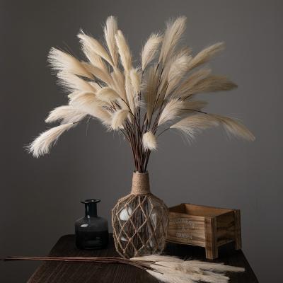 China Wedding /Home Decoration Factory Green Plant Pampas Reed Simulation Artificial Flower Wedding Decorations Wholesale Supplies for sale