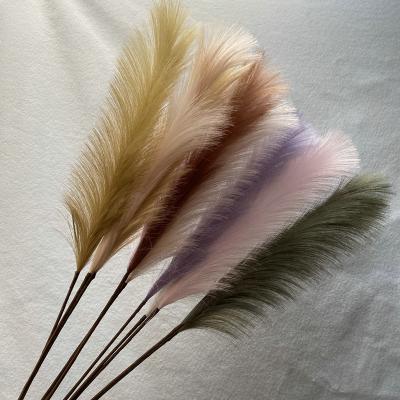 China Wedding Decoration /Home New Reed Artificial Flower Wedding Decoration Supplies 2022 Amazon Pampas Reed Simulation Flower for sale