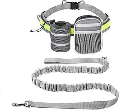 China Custom Eco Friendly Professional Waterproof Retractable Multifunctional Handrails Dog Free Leash With Waist Bag for sale