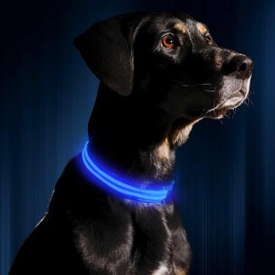 China Super Hot Sale Safety Stocked Led Dog Collar Light Usb Rechargeable, Dog Light Up Collars For All Size Dog for sale