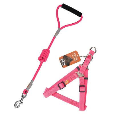 China Wholesale Custom High Quality Eco-Friendly Soft Walk Dog Strap Custom Nylon Pink Harness and Leash for sale