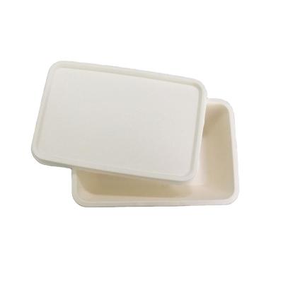 China Disposable Compostable Dinner Set Bagasse Tableware Suger Cane Containers for sale