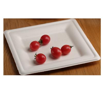 China 100% Eco-friendly & Biodegradable Disposable High Quality Recycled Bamboo Pulp Food Trays for sale