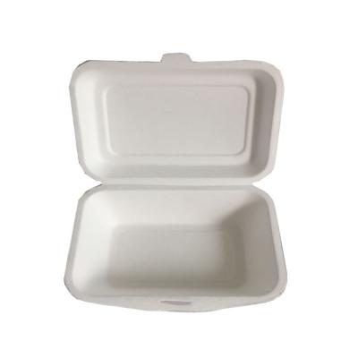 China Disposable Bassage Container Biodegradable Sugar Cane Food Boxes for sale