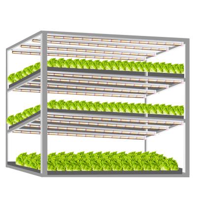 China Seed Starting Daisy Double-ended Connect Multiple Tubes T8 Plant Grow Light Tube for sale