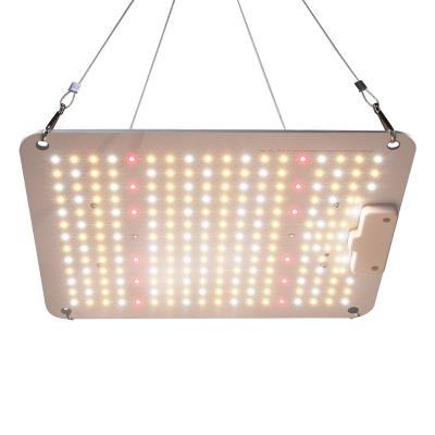 China New Wholesale Cheapest Price 110W 222leds Garden Greenhouse Year-Warranty Full Spectrum 3 Seed Starting 3 Red White Red To Grow Lights for sale