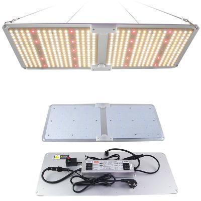 China Dimming Control Spider SF-2000 Plant Grow Lights 240w LED Grow Light With LM301b Chips And Driver Good For Grow Tent Greenhouse for sale