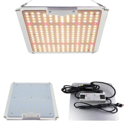 China Dimming Control Spider S1000 Plant Growing Lamps 3*3 FT Grow Tent LED Grow Light For Seedings Flowering for sale