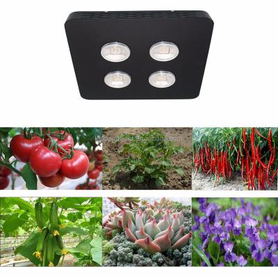 China Seed starting spider 360W led plant growing light indoor plant lighting indoor cob katchy led grow light for sale