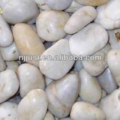 China White natural stone pebble decorative rocks for sale