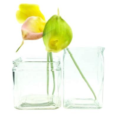 China Tabletop vase and glass jar 50OZ 30OZ of 1350ml 850ml crystal in natural viable vase in glass for sale