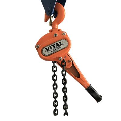 China Toyo 0.75t 1.5t 3t 6t 9t Manual Lever Block Chain Hoist for Hotels with CE Certification for sale