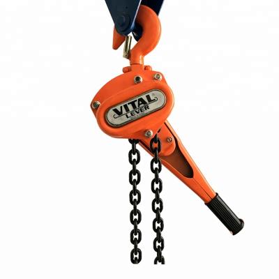 中国 Construction site lifter 3 ton chain block lever block in cranes 販売のため