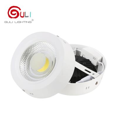 China Patented Private Mold High Efficient Lighting Surface Mounted 12w 18w 25w 30w Cob Led Downlight for sale