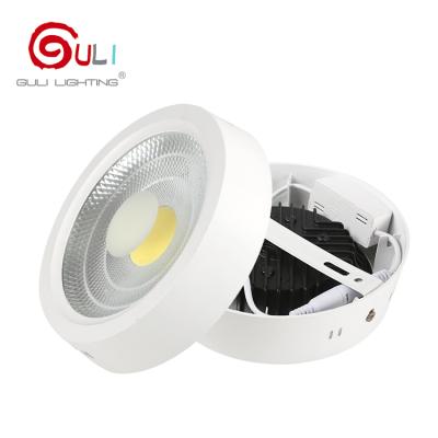 China Private Chinese Mold Supplier Patented Indoor Outdoor Mounted Aluminum Round 12 18 25 30 Watt Led Downlight for sale