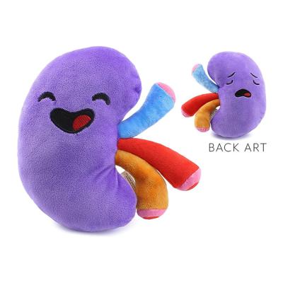 China Custom Stuffed Plush Funny Kidney Toys Smile Stuffed Body Organ Toy For Health Gift for sale