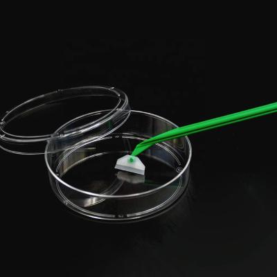 China Sterilized Sterile Disposable Lab Cell Scraper For Lab 505 for sale