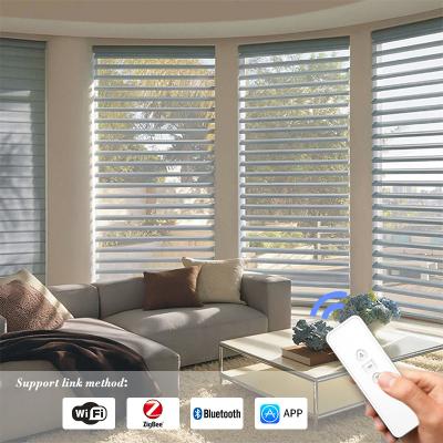 China Modern Design Eco - Friendly Fabrics Light Filtering Blackout Motorized Bamboo Blinds Shangri - La Shade for sale