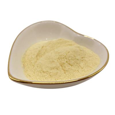 Cina Complessivamente idrosolubile 80% Purezza Aminoacidi Supplemento in polvere giallo chiaro 500g in vendita