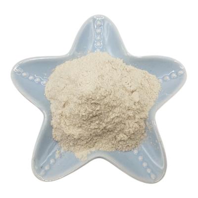 China White Color Chitosan Powder 85% Deacetylation For Polymer Agriculture for sale