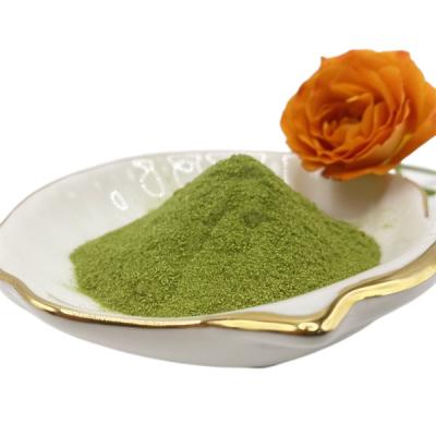 China 18% K2O Total Water Soluble Seaweed powder extract Green Powder for sale