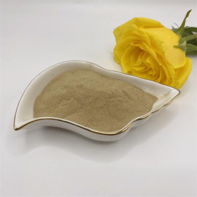 China Light Brown Amino Acid 50 Powder zu verkaufen