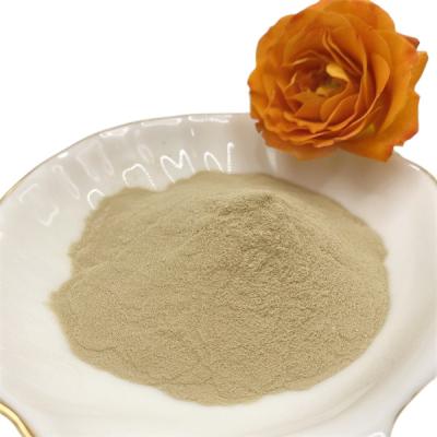 China Amino Acids Powder 13% Nitrogen and Total Water Soluble Plant Growth Enhancer for sale