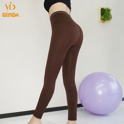 China Sports Breathable Free Size Seamless Gaiters Wholesale Quick Dry High Waist Yoga Gaiters Workout Gaiters for sale