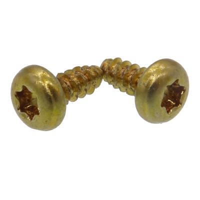 China Silicon Bronze Wood Brass Thumb Screw Self Tapping Screws Brass, Stainless Steel, Steel for sale