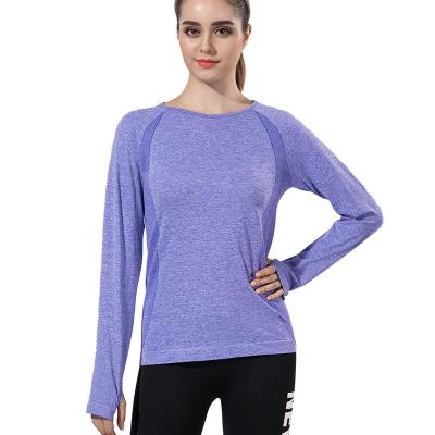 China Purple Lycra Spandex Polyester Cutout Cheap Antibacterial Custom Women Seamless Long Sleeve Body Shaping Fitness Yoga Gym Workout T-Shirt for sale